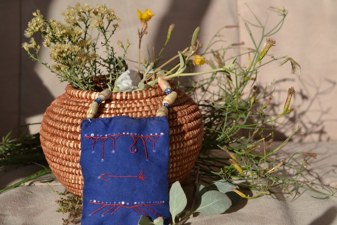 Seri Plant Ways from Sonora Mexico