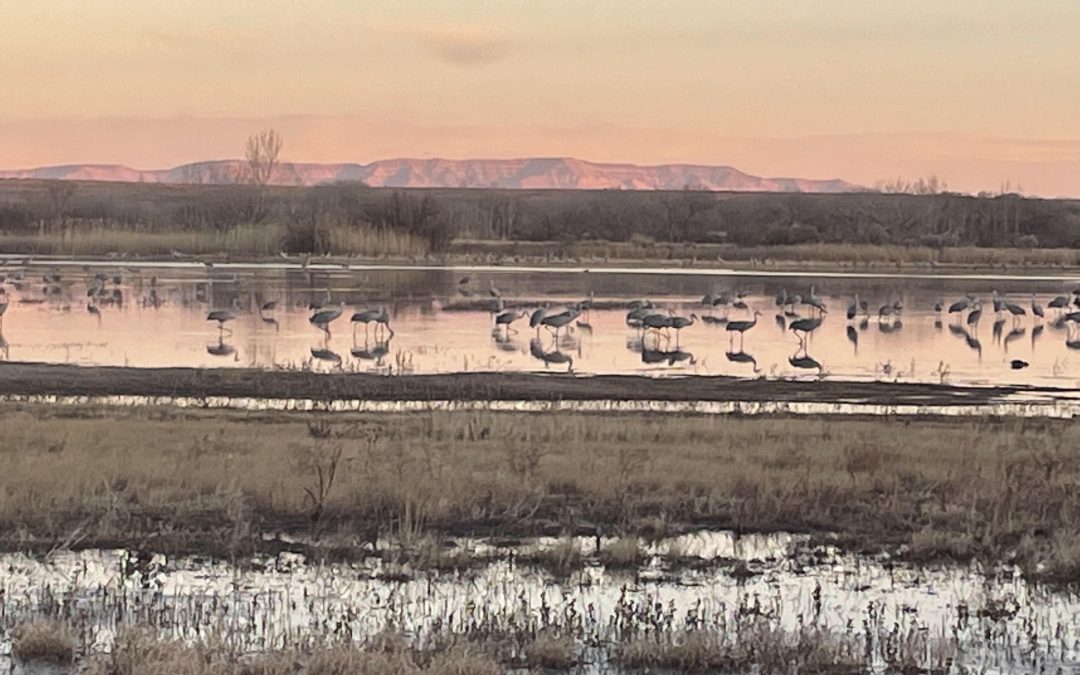 The Normalcy of Nature in Otherwise Odd Times