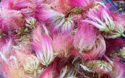 Caring for Our Broken Hearts