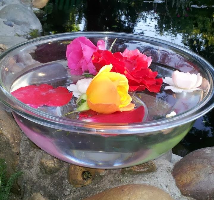 The Healing Power of Flowers